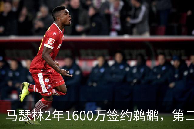 马瑟林2年1600万签约鹈鹕，第二年球员选项成关键变数